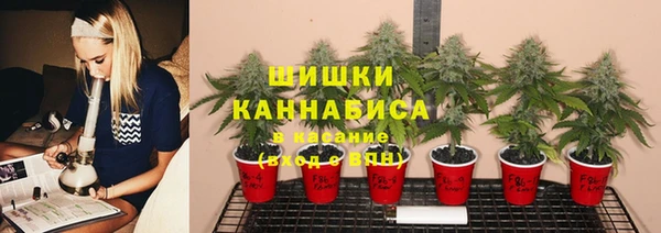 мяу мяу мука Арсеньев