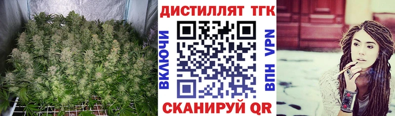 площадка состав  Аркадак  ТГК Wax 